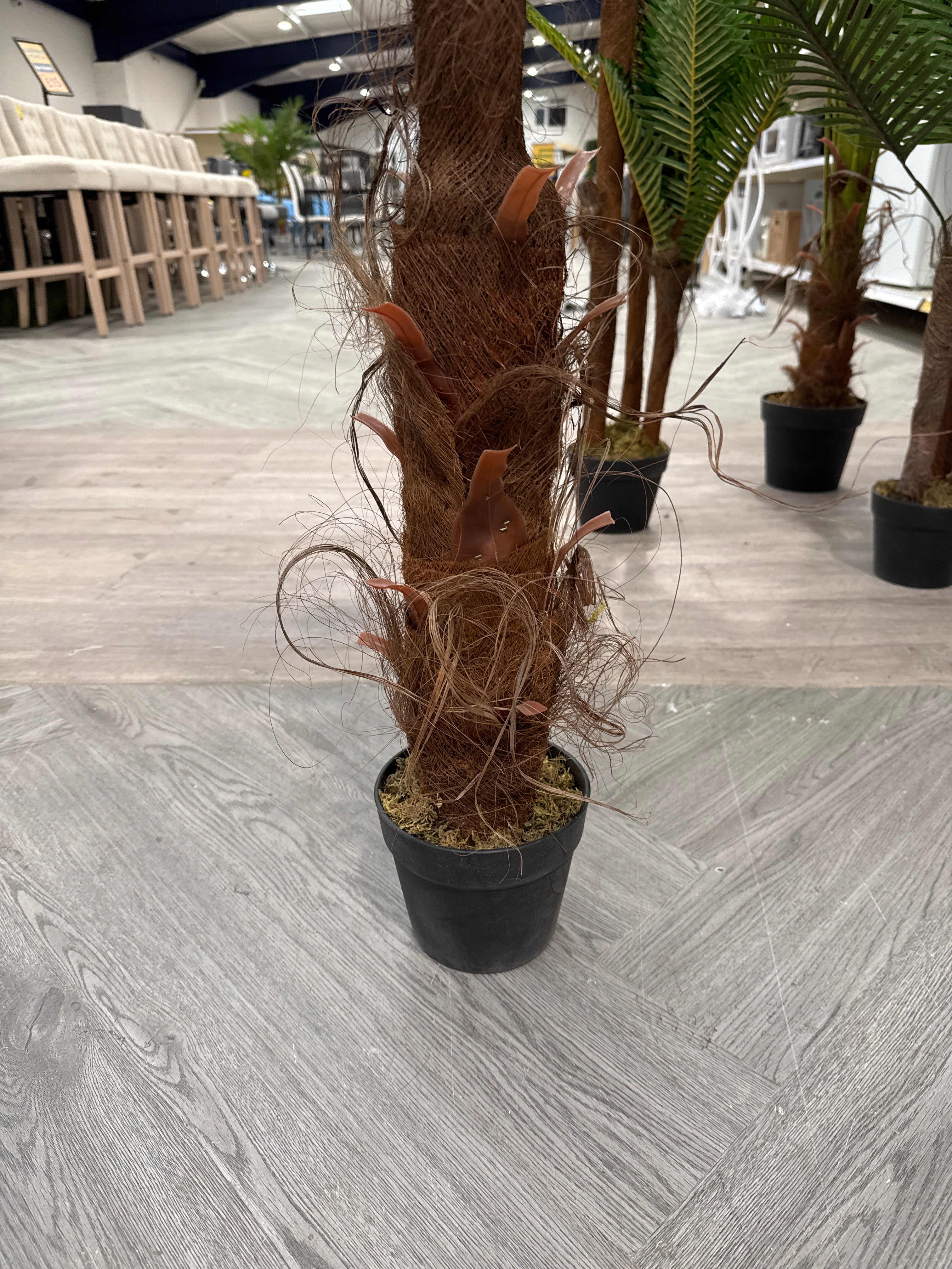 Potted Plant Palm Tree for Home Decoration