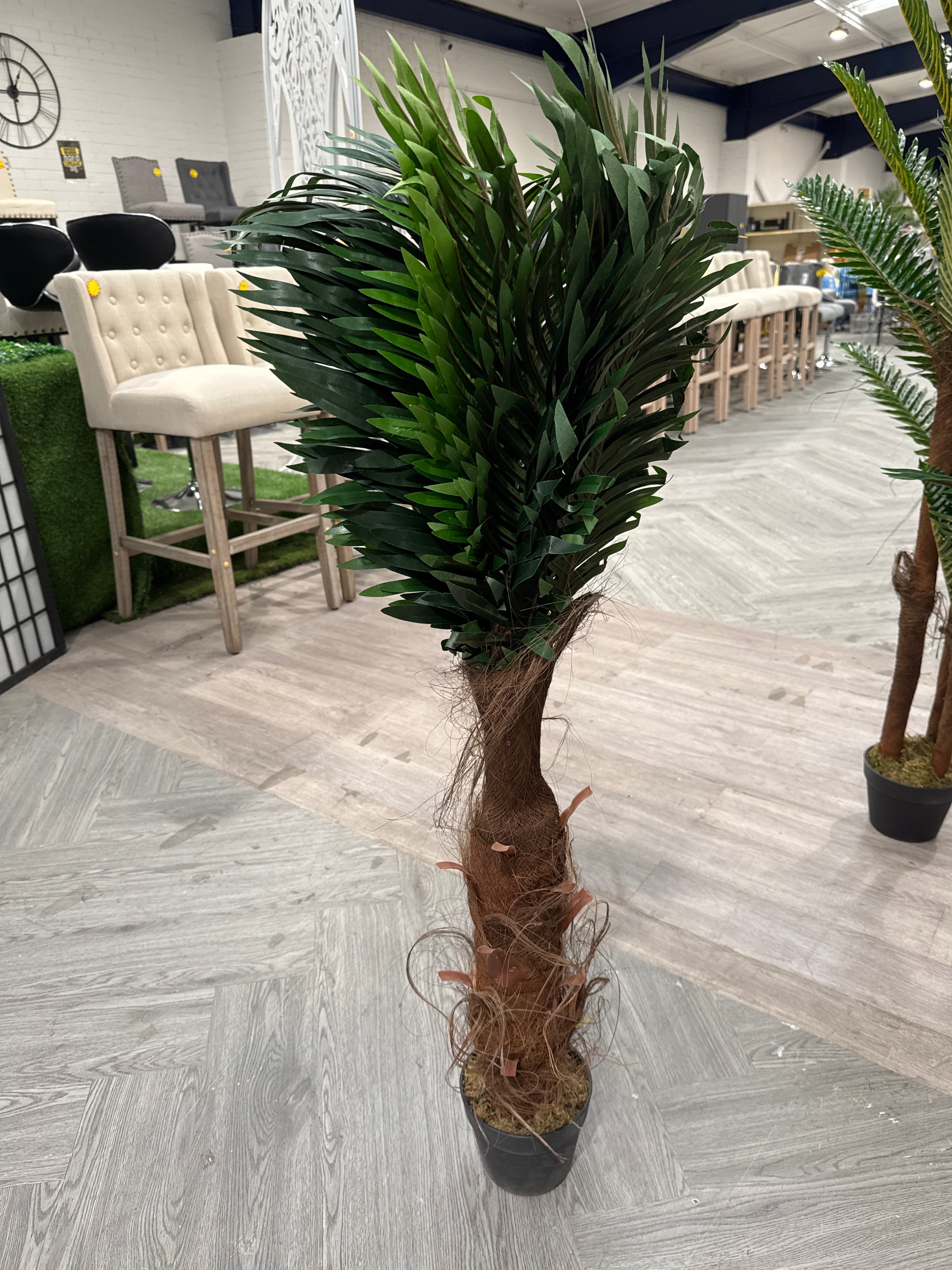Potted Plant Palm Tree for Home Decoration
