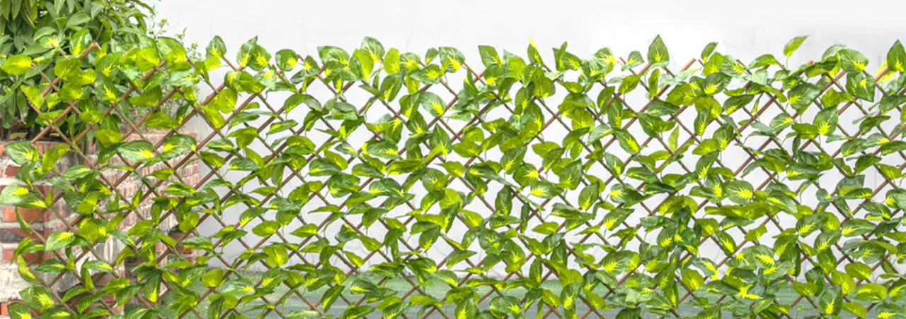 Garden & Outdoor Decoration