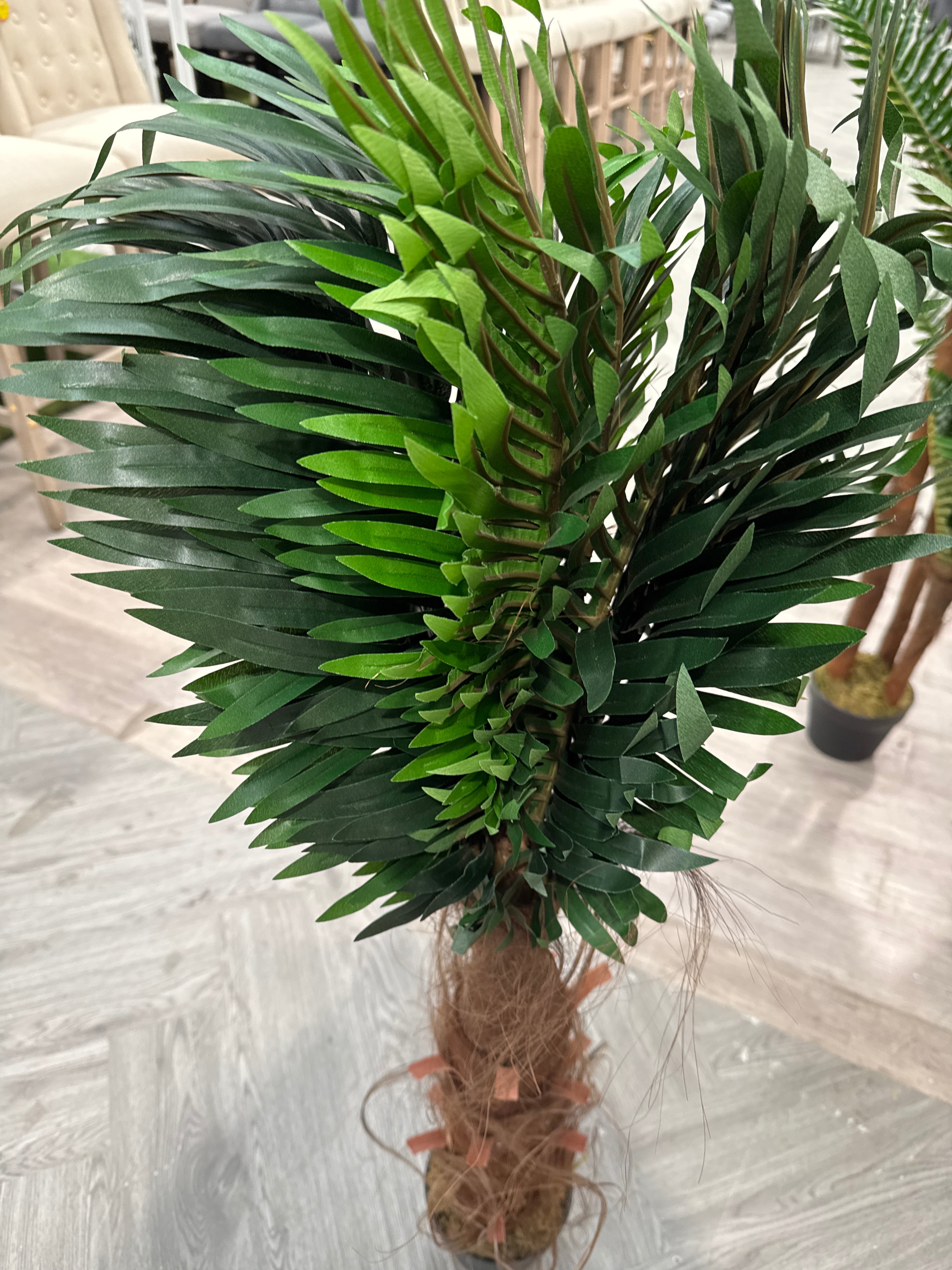 Potted Plant Palm Tree for Home Decoration