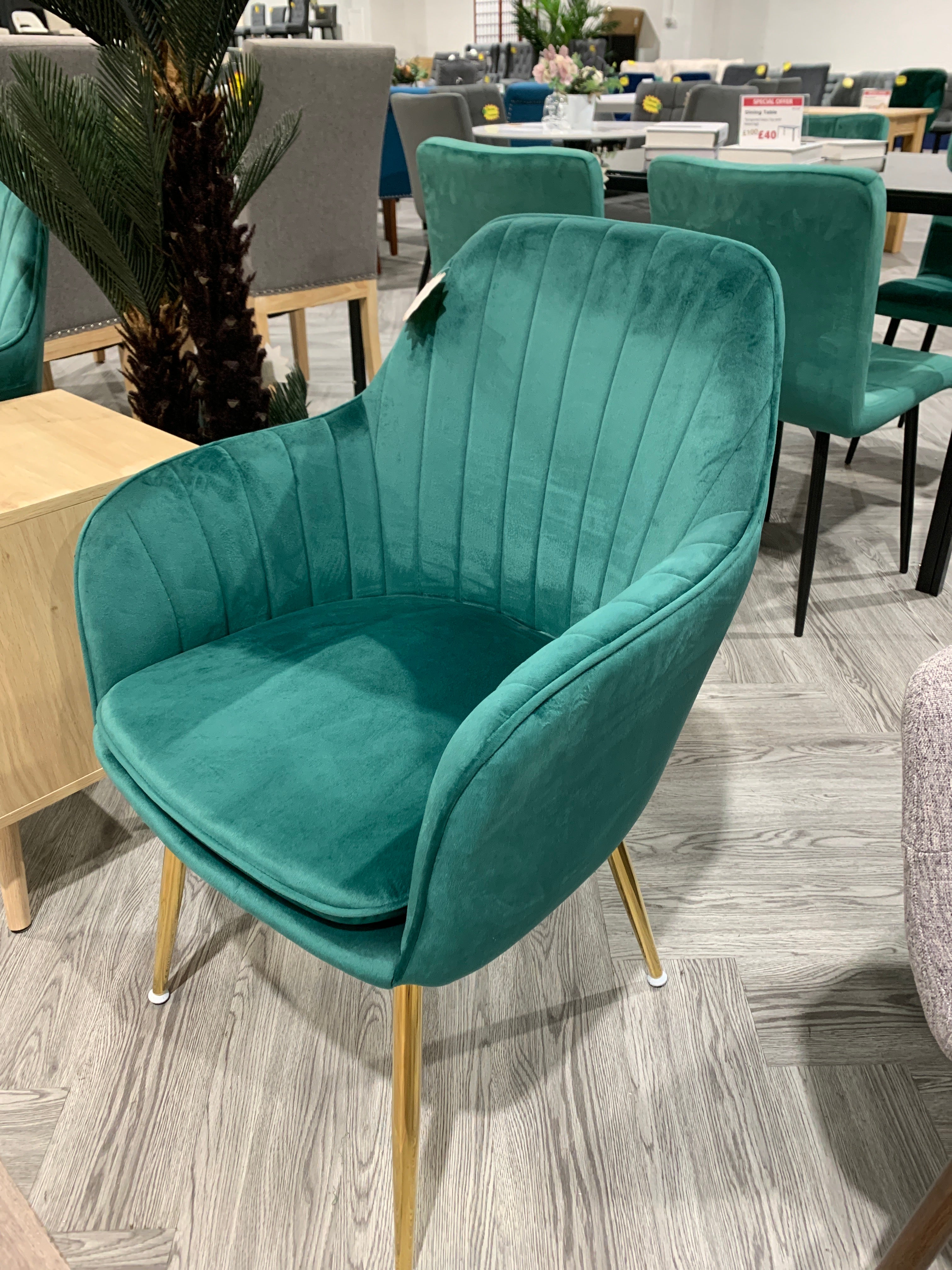 Green Velvet Upholstered Dining Chairs with Polished Gold Legs 1PC