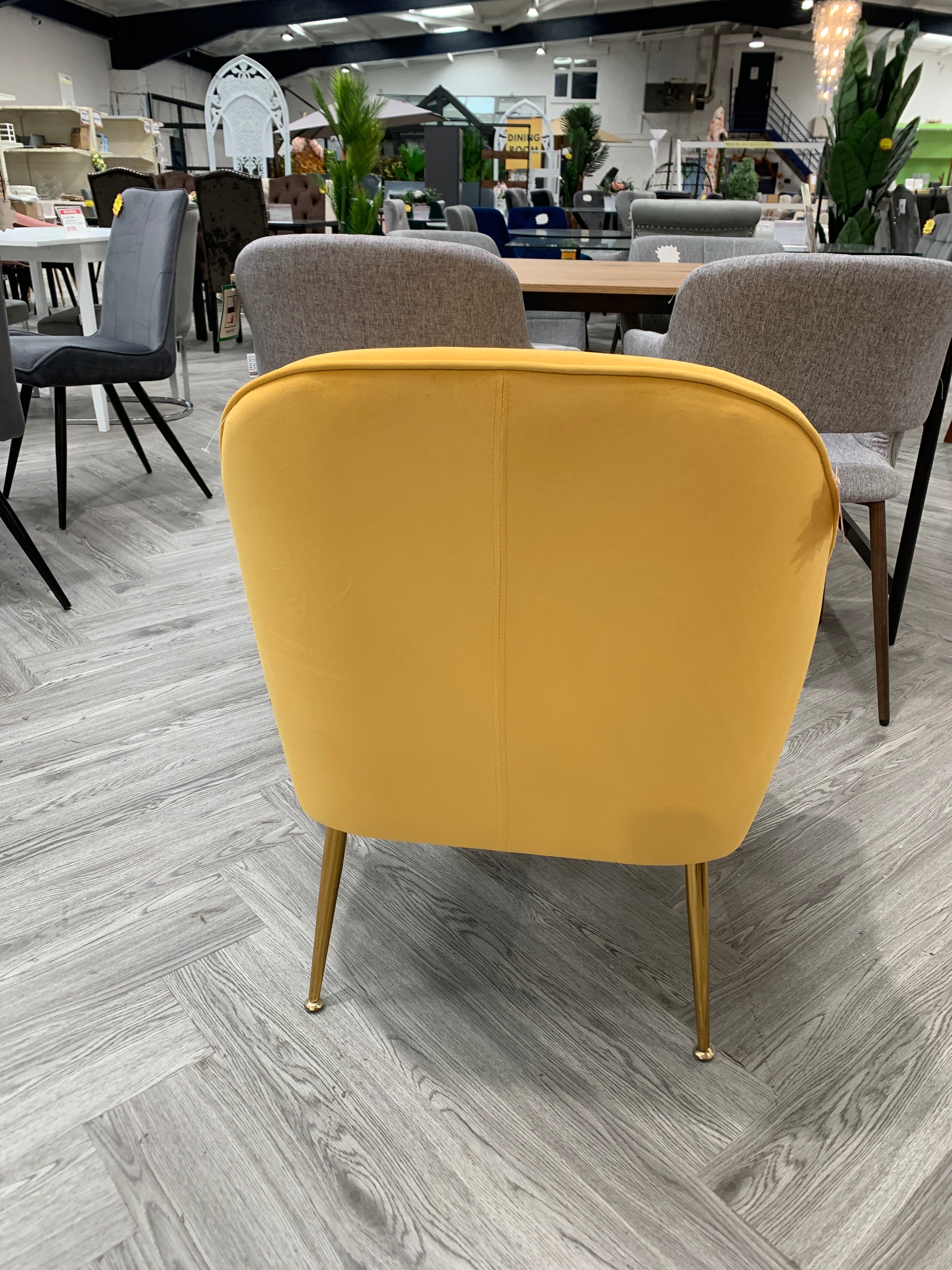 Yellow Contemporary Upholstered Comfy Armchair with Gold-Plated Feet