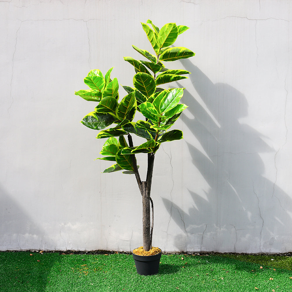 New Artificial Potted Plant Three Stem Tree with Yellow Edged Leaves 150cm H