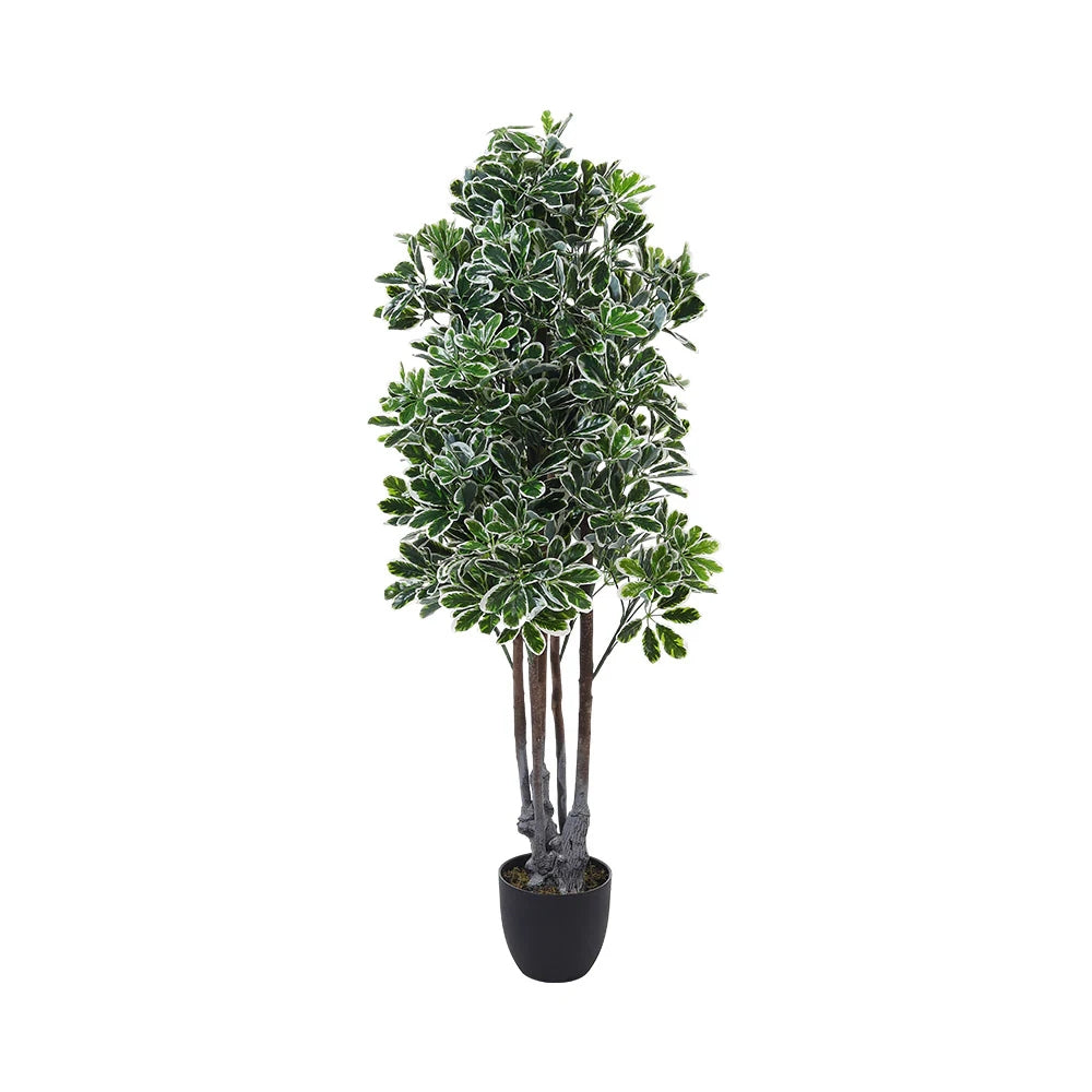 Artificial Schefflera Arboricola Tree in Pot for Decoration