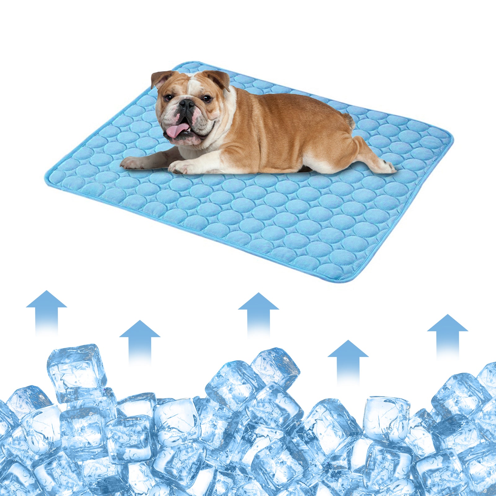 Summer Cooling Ice Silk Dog Bed Mat Blue