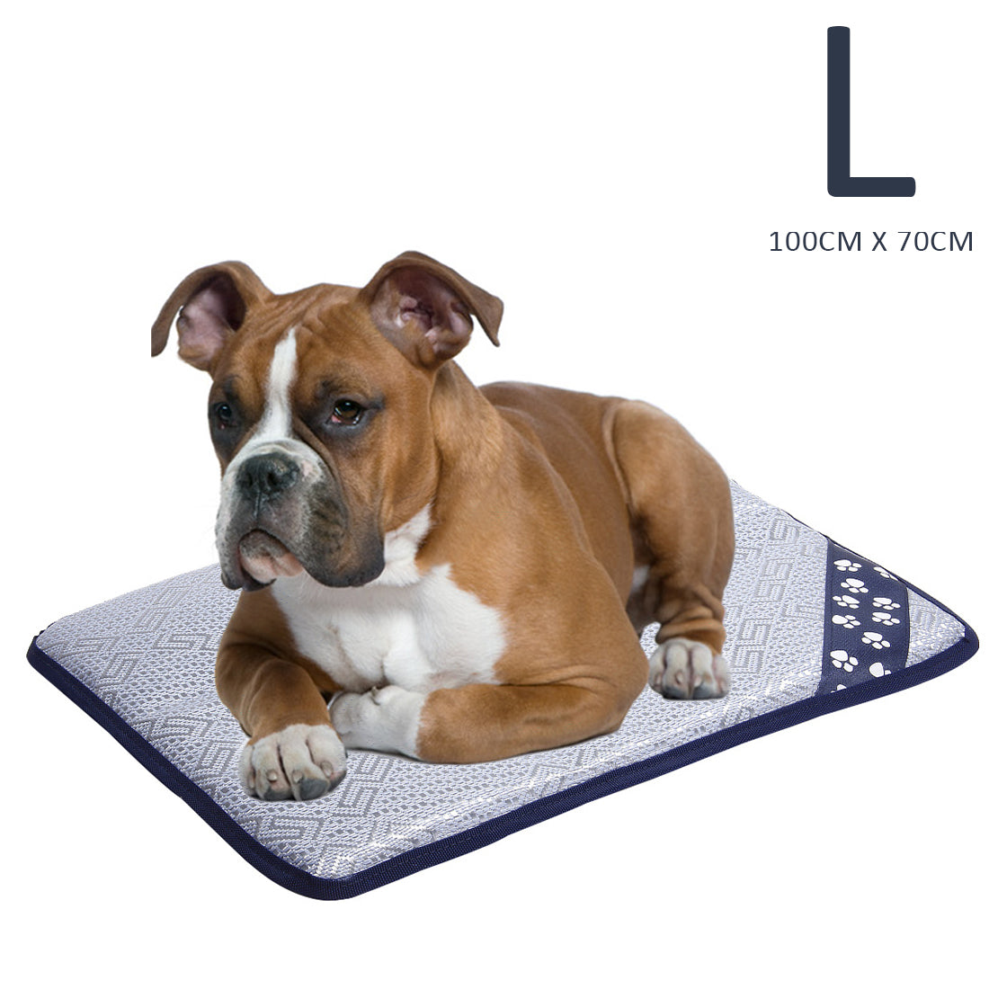 100 x 70cm Summer Cooling Sleeping Mat for Dogs and Cats