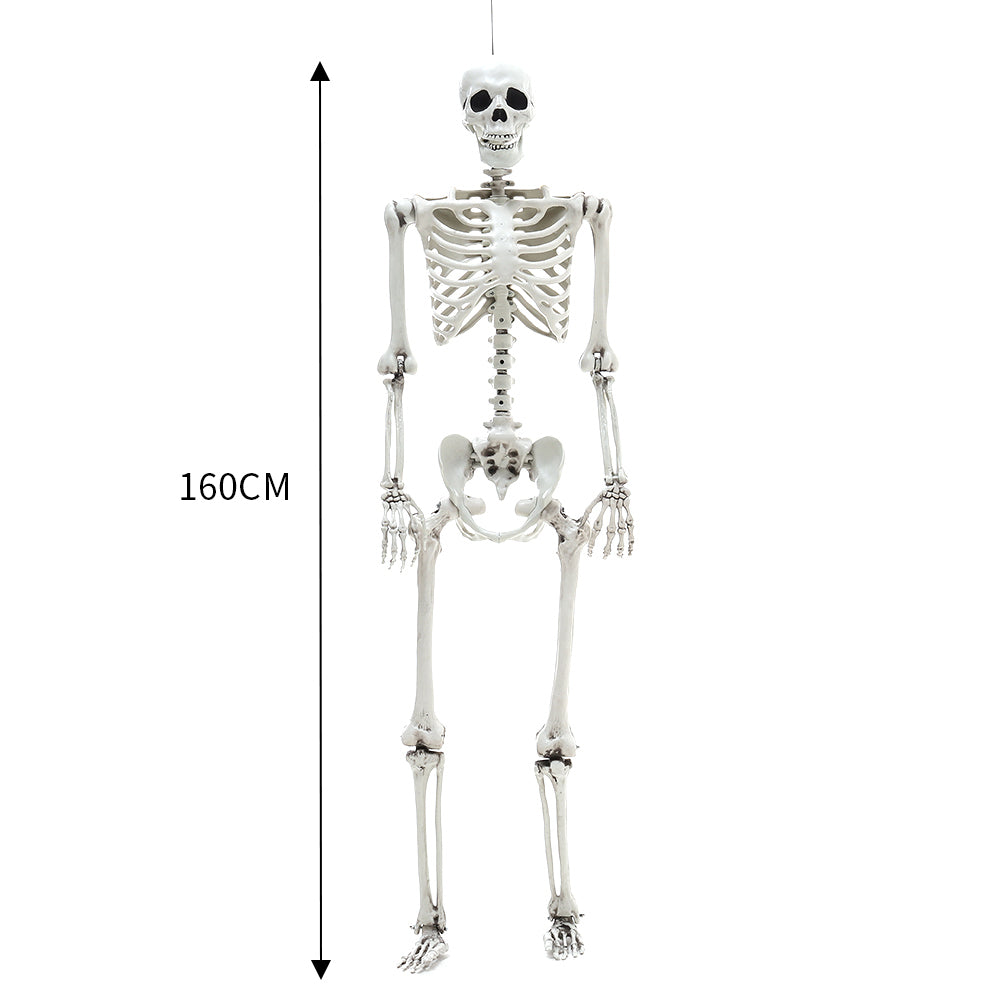 New Full Body Skeleton Prop Decoration Posable Joints Halloween